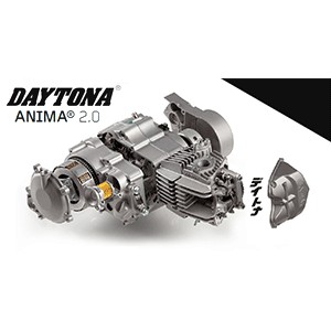 JOINT TORIQUE DE COUVERCLE D'EMBRAYAGE DAYTONA ANIMA 150/190